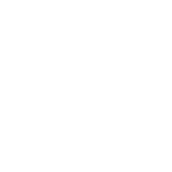 Guinness Record